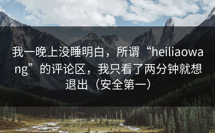 我一晚上没睡明白，所谓“heiliaowang”的评论区，我只看了两分钟就想退出（安全第一）