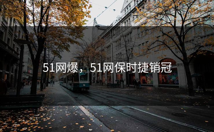 51网爆，51网保时捷销冠