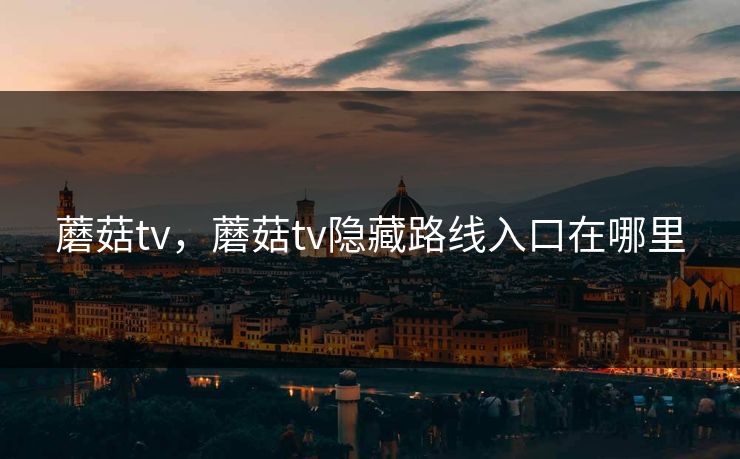 蘑菇tv，蘑菇tv隐藏路线入口在哪里